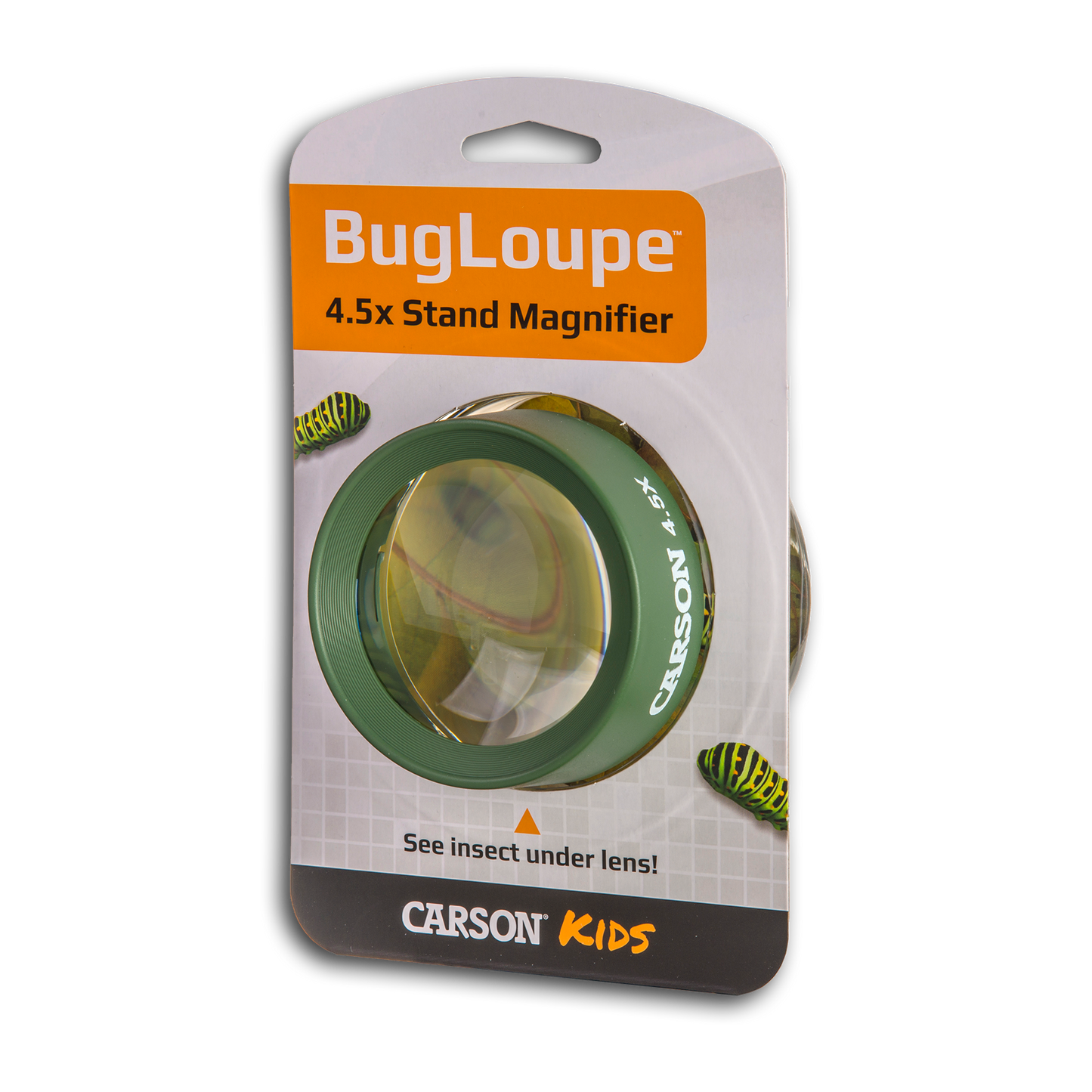 BUGLOUPE