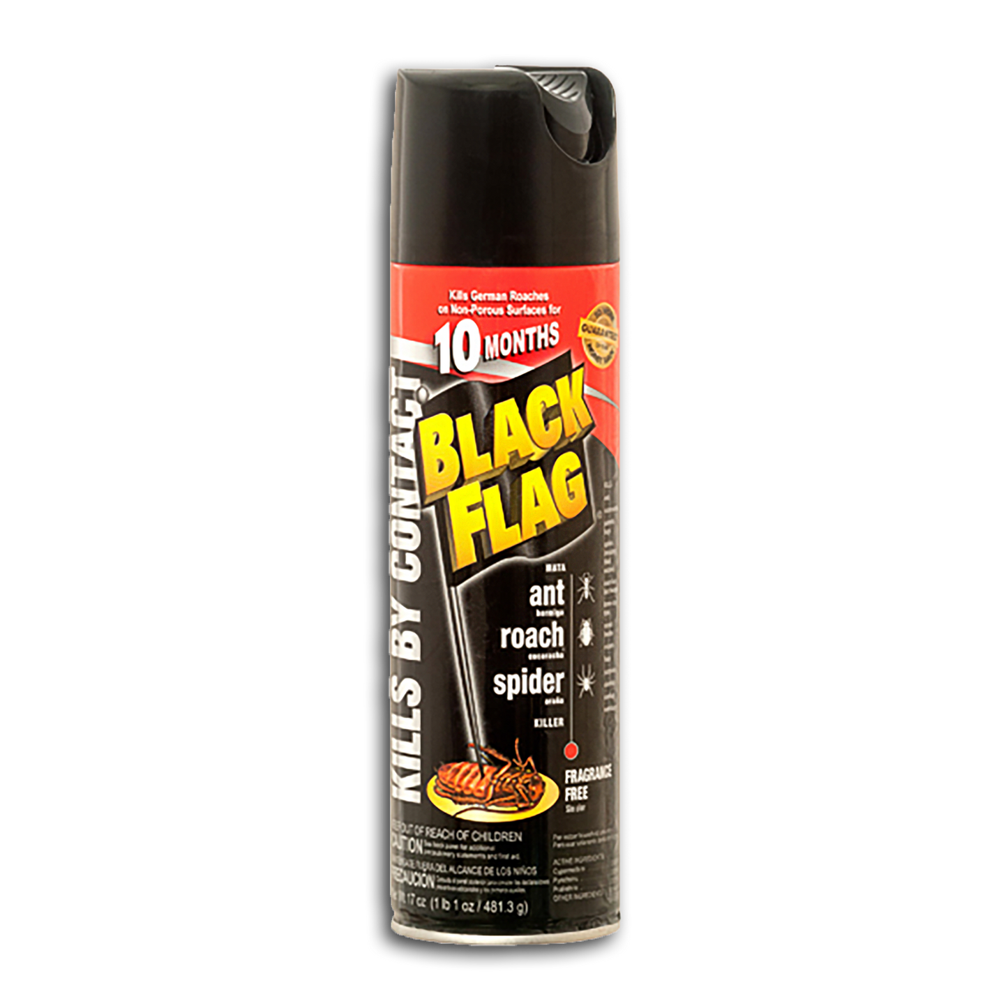 BLACK FLAG ANT, ROACH, & SPIDER KILLER SPRAY