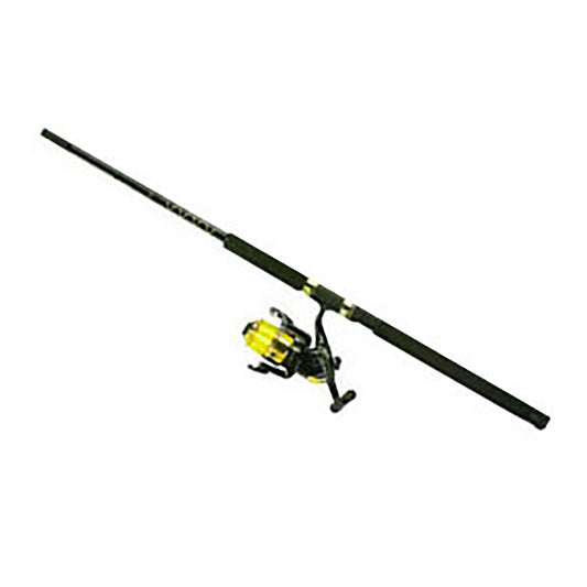 2PC ADULT FISHING POLE & SPINNING REEL