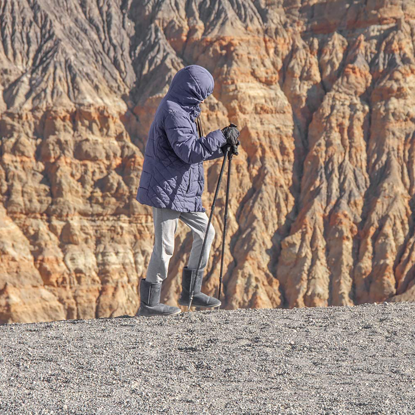 TELESCOPING TREKKING POLE SET