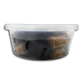 PREMIUM CATFISH BAIT