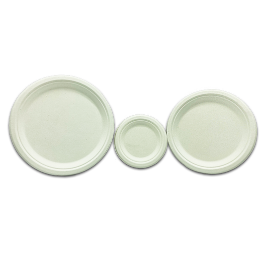 BAGASSE PLATES CASE