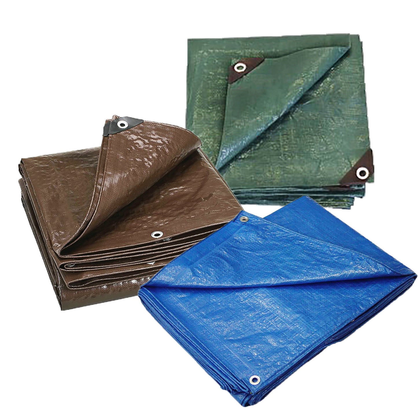 TARP