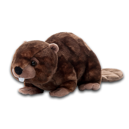 12" WILD ONEZ BEAVER
