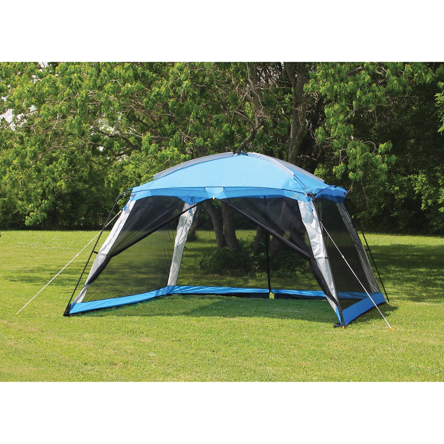 SCREEN ARBOR